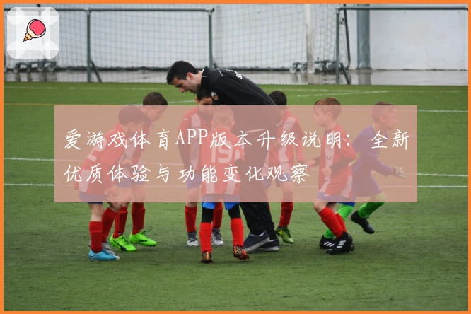 爱游戏体育APP版本升级说明：全新优质体验与功能变化观察