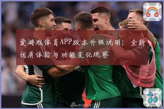 爱游戏体育APP版本升级说明：全新优质体验与功能变化观察